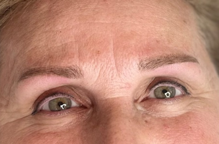 Ako predľžit životnost tetovaného obočia/ permanentného makeupu obočie, pery / ?